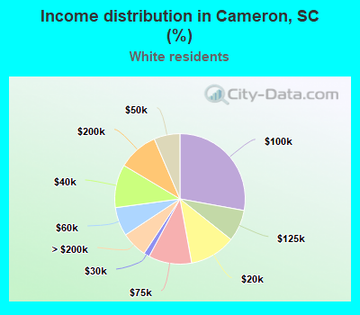 Income distribution in Cameron, SC (%)