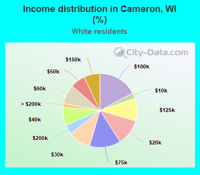 Income distribution in Cameron, WI (%)