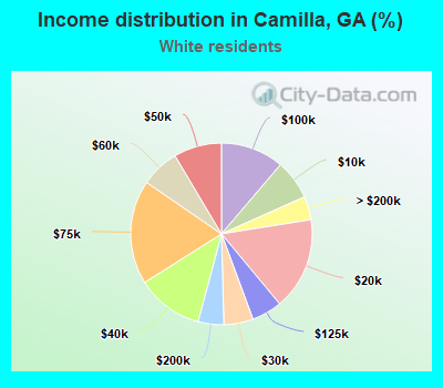 Income distribution in Camilla, GA (%)