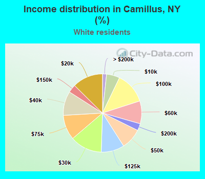 Income distribution in Camillus, NY (%)