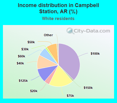 Income distribution in Campbell Station, AR (%)