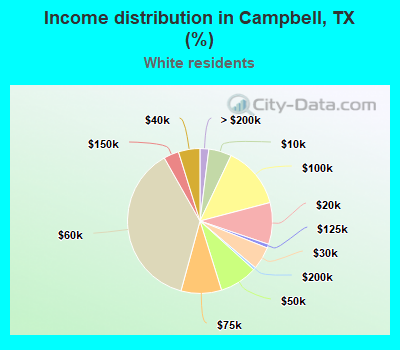 Income distribution in Campbell, TX (%)