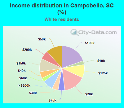 Income distribution in Campobello, SC (%)