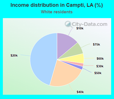 Income distribution in Campti, LA (%)