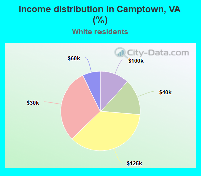 Income distribution in Camptown, VA (%)