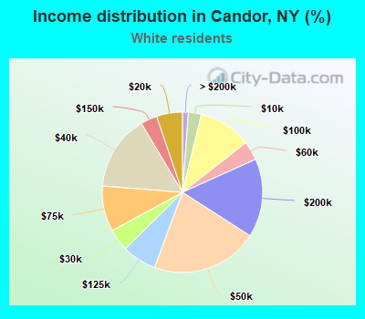 Income distribution in Candor, NY (%)
