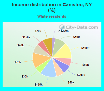 Income distribution in Canisteo, NY (%)