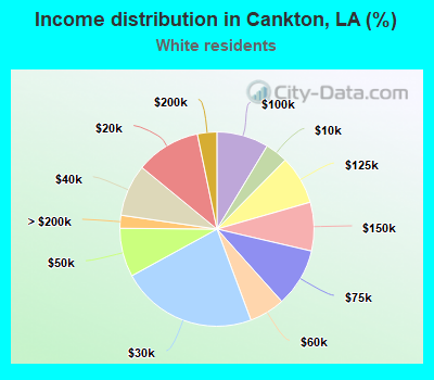 Income distribution in Cankton, LA (%)