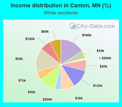 Income distribution in Canton, MN (%)