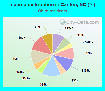 Income distribution in Canton, NC (%)