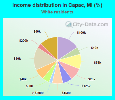 Income distribution in Capac, MI (%)