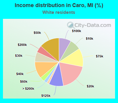 Income distribution in Caro, MI (%)