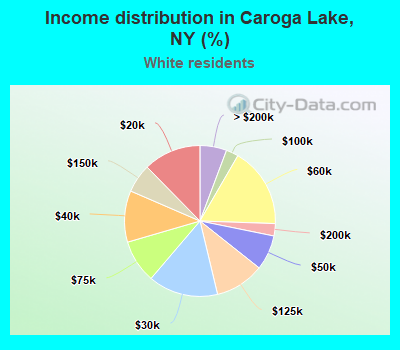 Income distribution in Caroga Lake, NY (%)