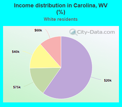 Income distribution in Carolina, WV (%)