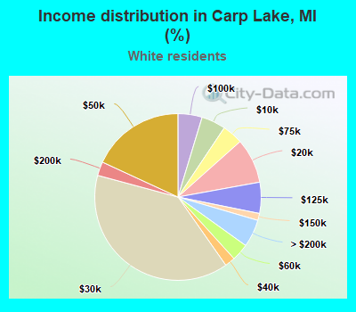 Income distribution in Carp Lake, MI (%)