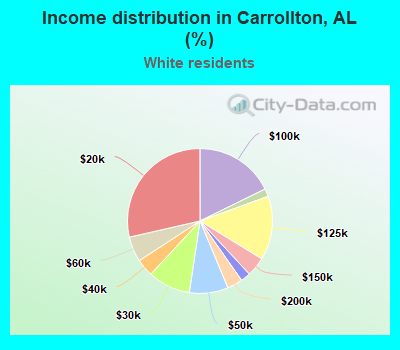 Income distribution in Carrollton, AL (%)