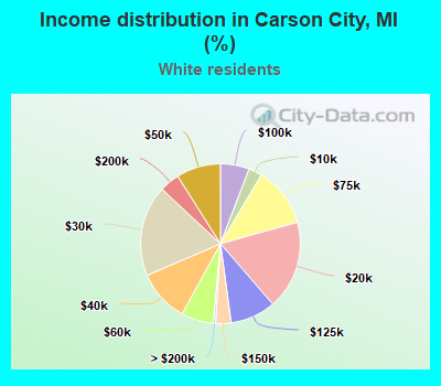 Income distribution in Carson City, MI (%)