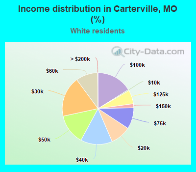 Income distribution in Carterville, MO (%)