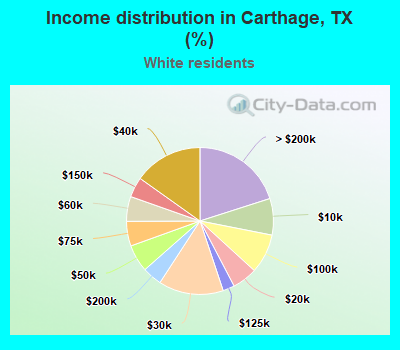 Income distribution in Carthage, TX (%)