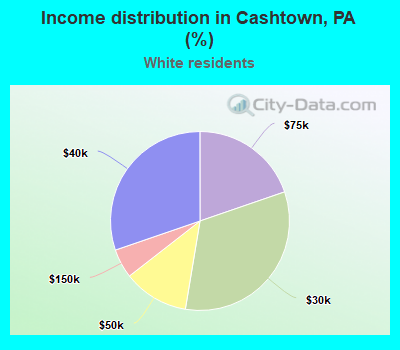 Income distribution in Cashtown, PA (%)