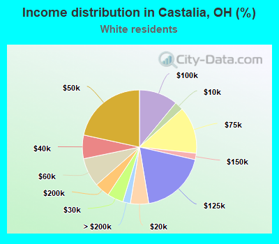 Income distribution in Castalia, OH (%)