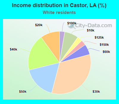 Income distribution in Castor, LA (%)