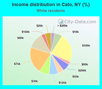 Income distribution in Cato, NY (%)