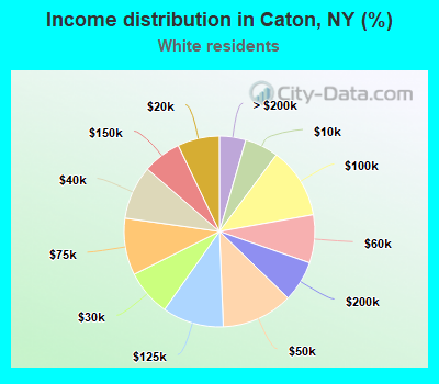 Income distribution in Caton, NY (%)