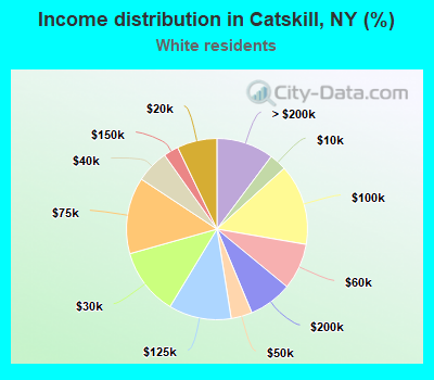 Income distribution in Catskill, NY (%)