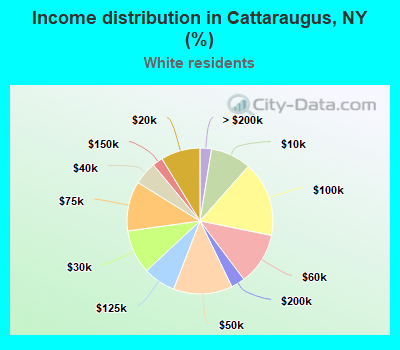 Income distribution in Cattaraugus, NY (%)