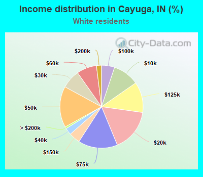 Income distribution in Cayuga, IN (%)