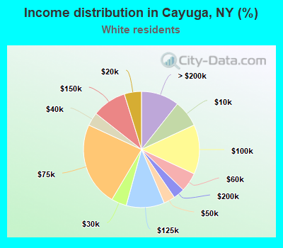 Income distribution in Cayuga, NY (%)
