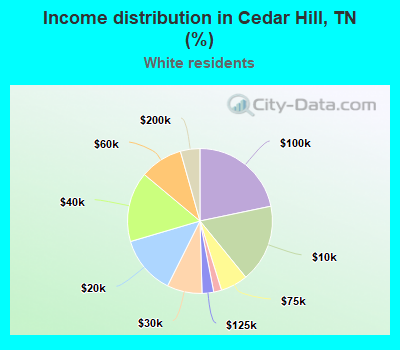 Income distribution in Cedar Hill, TN (%)