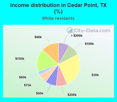 Income distribution in Cedar Point, TX (%)