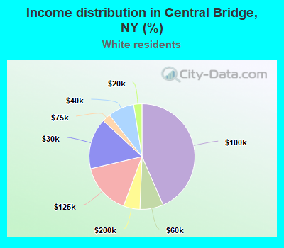 Income distribution in Central Bridge, NY (%)