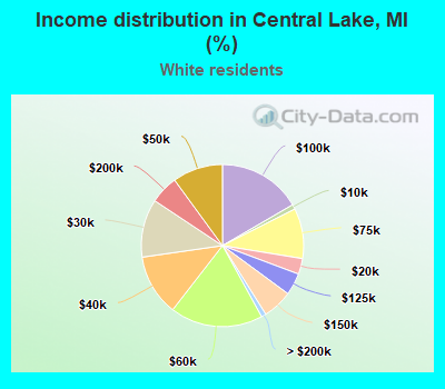 Income distribution in Central Lake, MI (%)