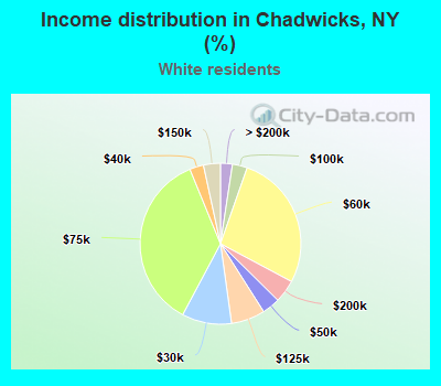 Income distribution in Chadwicks, NY (%)