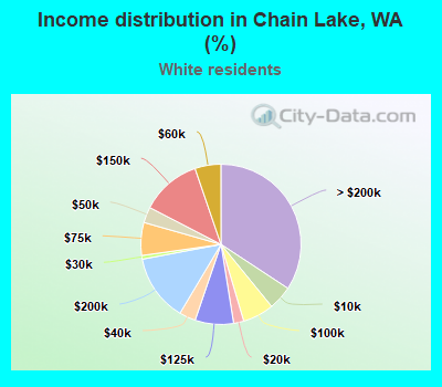 Income distribution in Chain Lake, WA (%)