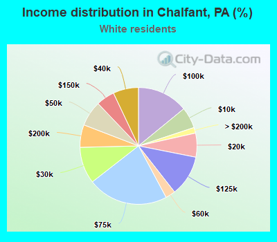 Income distribution in Chalfant, PA (%)