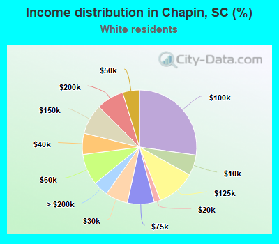 Income distribution in Chapin, SC (%)