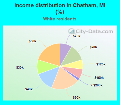 Income distribution in Chatham, MI (%)