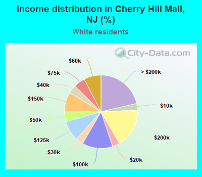 Income distribution in Cherry Hill Mall, NJ (%)