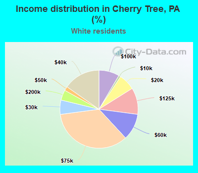 Income distribution in Cherry Tree, PA (%)