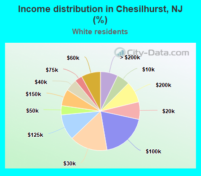 Income distribution in Chesilhurst, NJ (%)