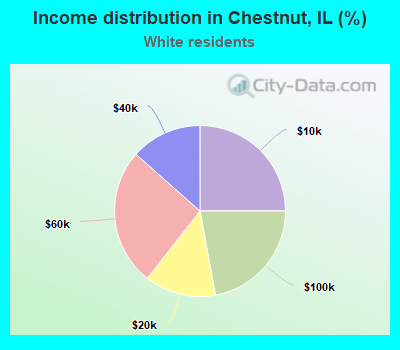 Income distribution in Chestnut, IL (%)