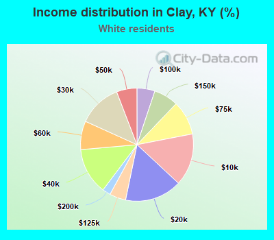 Income distribution in Clay, KY (%)