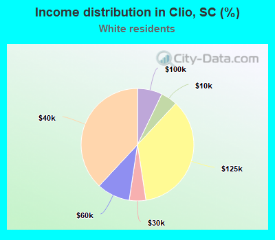 Income distribution in Clio, SC (%)