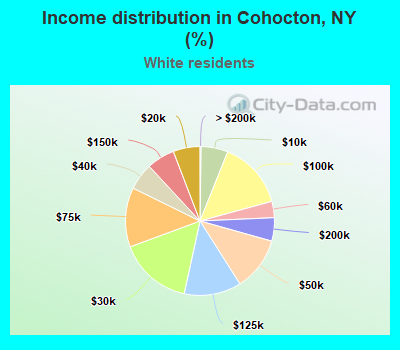 Income distribution in Cohocton, NY (%)