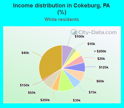 Income distribution in Cokeburg, PA (%)