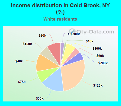 Income distribution in Cold Brook, NY (%)
